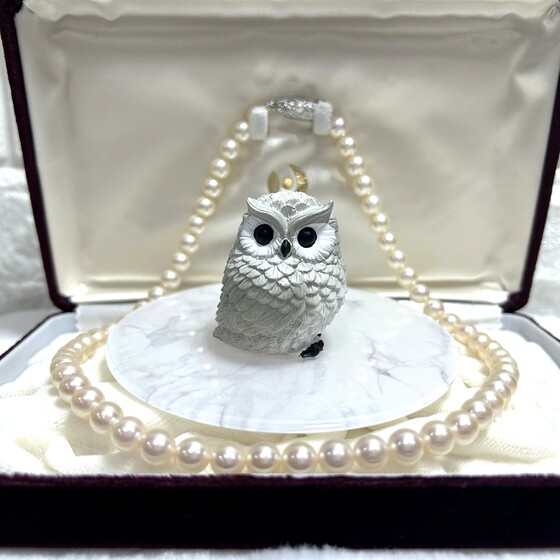 お知らせの画像